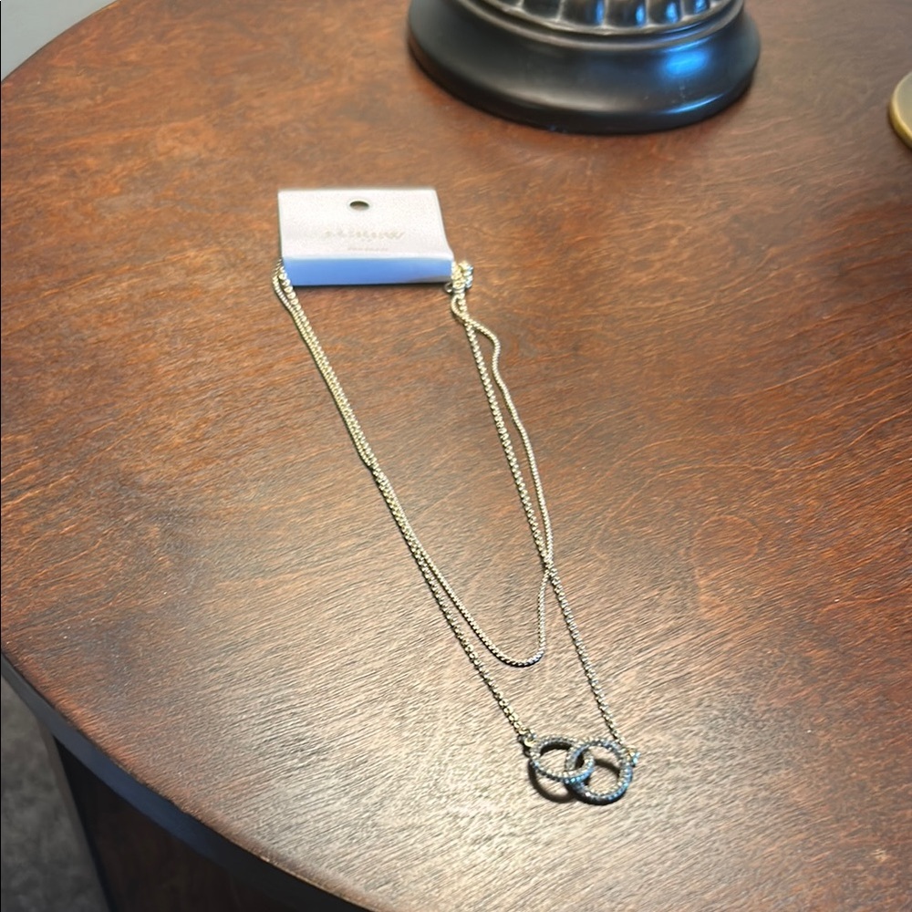 J Crew NWT Elegant Silver Necklace with Interlocking Rings